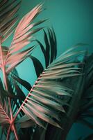 Tropical palm leaves background. Illustration photo