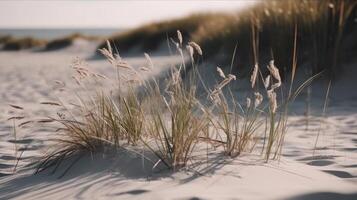 Dry grass and sand background. Illustration photo