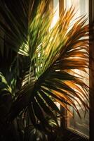 Tropical palm leaves background. Illustration photo