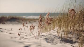 Dry grass and sand background. Illustration photo