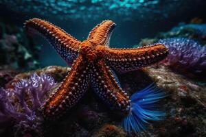 mar estrella en un arrecife vistoso submarino paisaje antecedentes. estrella pescado en tropical costa. generativo ai foto