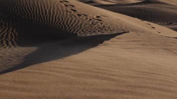 zand blazen, woestijn, voetafdrukken, midden- oosten- landschap, natuur video
