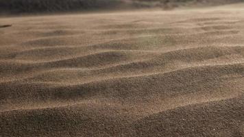 detailopname van langzaam beweging zand blazen in woestijn video