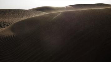 Soleil brille sur le sable soufflant plus de désert dunes près Dubai video