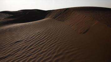 meio Oriental deserto panorama com areia dunas dentro Unidos árabe Emirados video