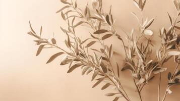 Olive branch leaves on beige background. Illustration photo