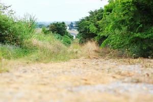 Gravel ground on natural walkway into the forest and village on the mountain in Thailand photo