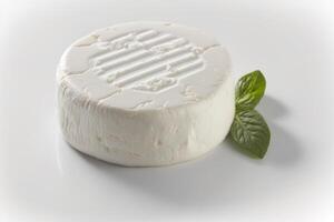 Big round piece of goat cheese and basil on a white background. photo