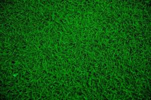 Abstract background of fresh green grass field. photo