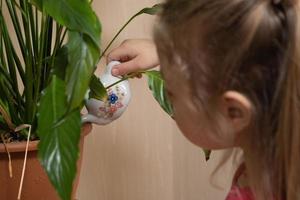 A 4-year-old little girl waters house plants. Home planting from childhood concept photo