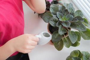 A 4-year-old little girl waters house plants. Home planting from childhood concept photo