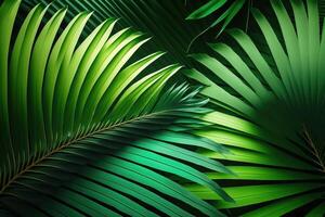 Background from palm green leaves. Tropical wallpaper. . photo