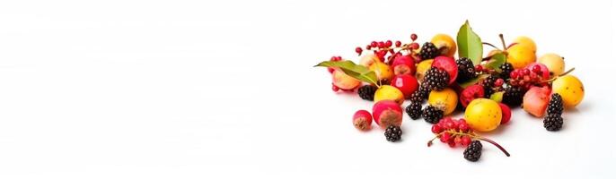 Fresh wild forest tropical exotic berries, isolate on white background. . Header banner mockup with space. photo