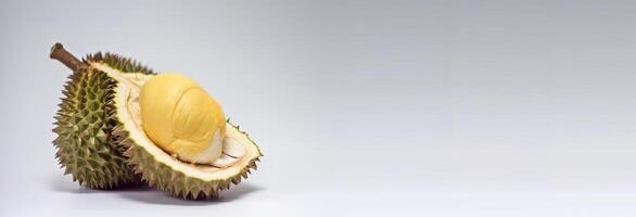 Fresh durian isolate on white background. Macro studio shot. . Header banner mockup with space. photo