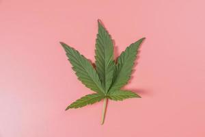 Weed, cannabis, hemp, marijuana leaf on colorful background. photo