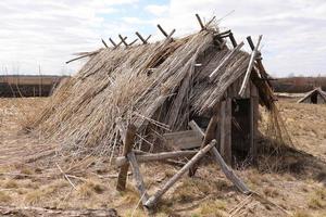 remnants of Ancient houses made from hollow logs with wooden and thatched roofs on the meadow photo