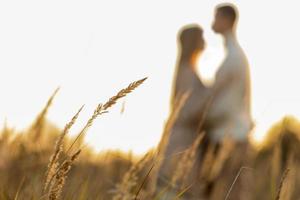 silueta de un Pareja amantes son abrazando en el prado a puesta de sol en verano día. hombre y mujer participación manos en trigo campo. amar, juventud, felicidad concepto. San Valentín día. Copiar espacio foto