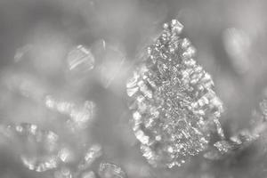 Close up shot of snow crystals illuminated by sunlight. Winter background. Macro of real snowflake large stellar dendrites with hexagonal symmetry, long elegant arms and thin, transparent structures photo