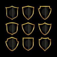 Golden shield frame set with detailed texture inside. vector