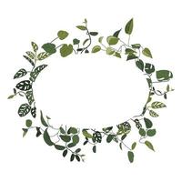 Trendy tropical leaves of different creepers with white ellipse sheet. Card with exotic leaves frame. Liana vector