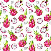 Red dragon fruit seamless pattern on white background. Tropical pitaya wallpaper. Exotic illustration summer food. Organic fresh succulent vector
