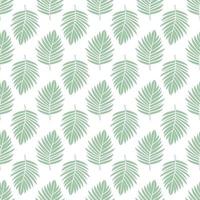 Palm leaves seamless pattern. Vector Illustration