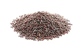 pile of black mustard seed isolated on background. heap of black mustard seed isolated on background. black mustard seed isolated photo