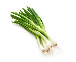 scallion green onions or spring onions isolated on white background. fresh scallion green or spring onions isolated on white background. scallion green or spring onions isolated photo