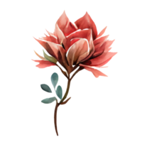 Aquarell Rose . ai generiert png