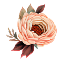 watercolor roses . AI Generated png