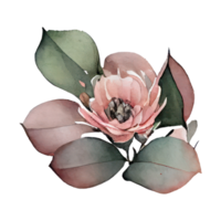 aquarelle des roses . ai généré png