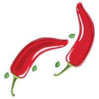 chili pepper illustration vector