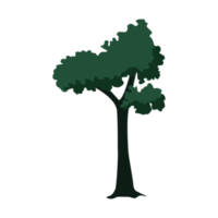 Illustration of trees,easy drawing. png