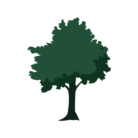 Illustration of trees,easy drawing. png