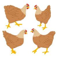 ilustración conjunto de garabatear gallina vector