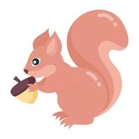 Trendy Squirrel Concepts vector