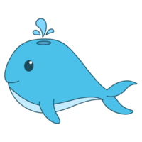 whale fish cartoon png