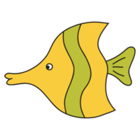 fish cartoon illustration png