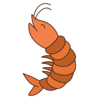 illustration de dessin animé de crevettes png