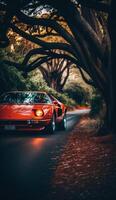 illustration of a sport car on a lonely road with a view of trees , photo