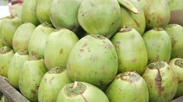 stack of fresh coconut display for sale video