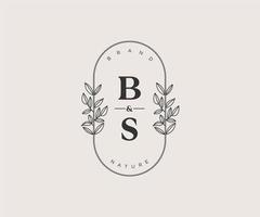 initial BS letters Beautiful floral feminine editable premade monoline logo suitable for spa salon skin hair beauty boutique and cosmetic company. vector