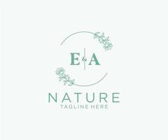 initial EA letters Botanical feminine logo template floral, editable premade monoline logo suitable, Luxury feminine wedding branding, corporate. vector