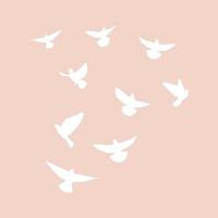 Set of flying pigeons.Silhouette of white doves. Vector illustration