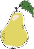 Lineart style vector yellow pear with leaf black outline on white background isolated