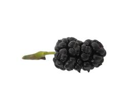 Isolated black mulberry on white background photo