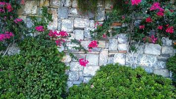 leaves and brick fence wall copy space mock up photo