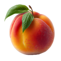 Peach fruit png, Peach on transparent background png