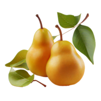 Pear fruit png, Pear on transparent background png