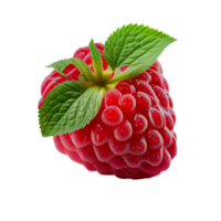 Raspberry fruit png, Raspberries on transparent background png